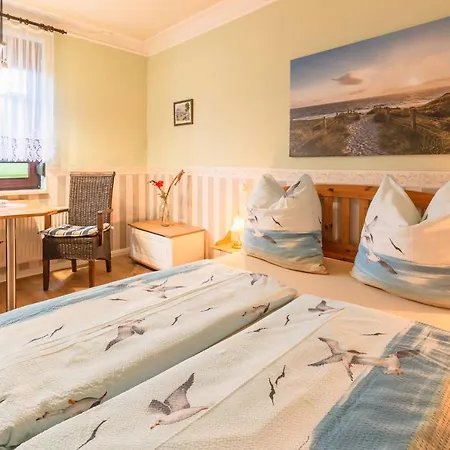 Vergissmeinnicht 2 * Sellin (Rugen)