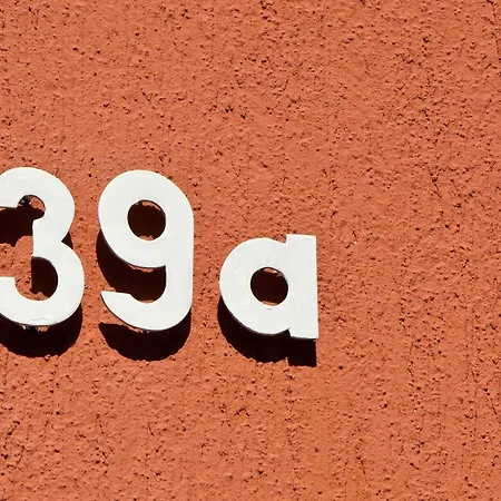 Vergissmeinnicht 2 Sellin